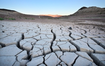 How Drought Is Affecting Commodity Investing