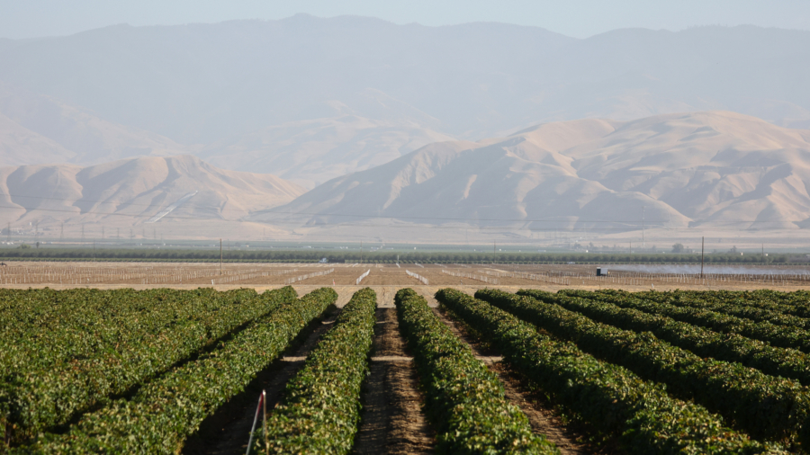 California Bill to Ban Farmland Sales to Foreign Governments