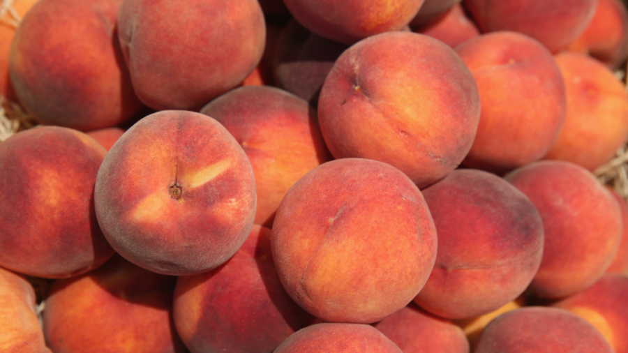 Take Advantage of This Summer Superfood