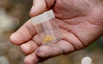 Panning for Gold in Gold Rush Town