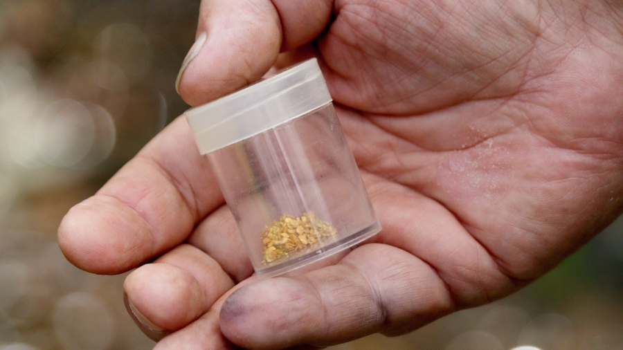 Panning for Gold in Gold Rush Town