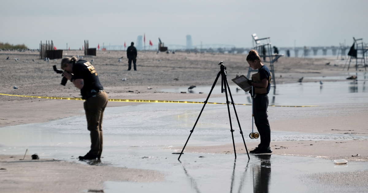 Deaths of 3 Children in New York’s Coney Island Ruled Homicides, Says ...