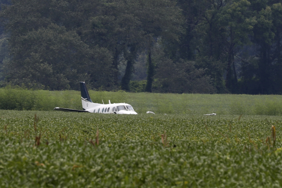 A stolen airplane rests in a field of soybeans after crash-landing near Ripley, Miss., on Sept. 3, 2022. (Nikki Boertman/AP Photo)