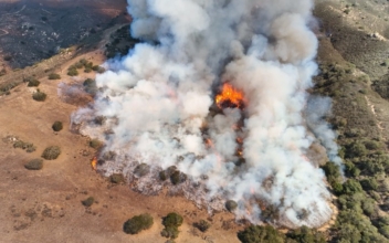 SJSU Researchers Conduct Study on Canyon Fire Burn