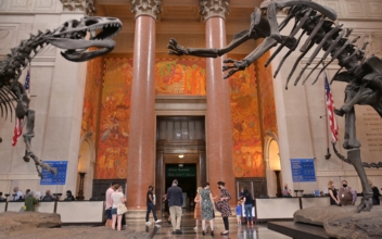 NYC Natural History Museum Previews New Wing That Will House 4 Million Scientific Specimens