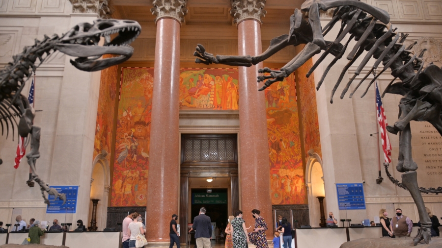 NYC Natural History Museum Previews New Wing That Will House 4 Million Scientific Specimens