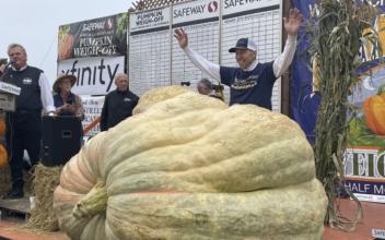 2,560-Pound Pumpkin Wins California Contest; Sets Record