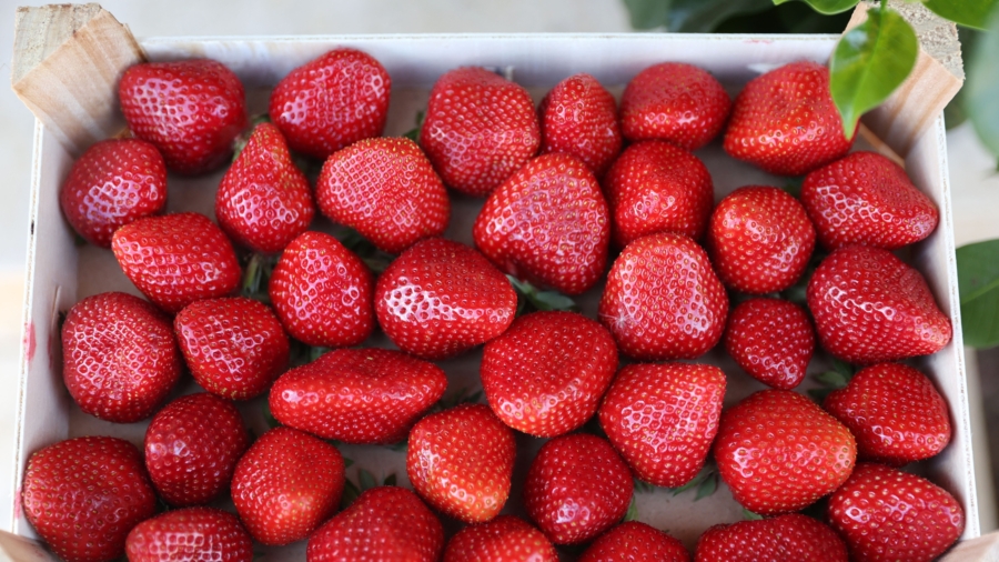 What to Eat to Prevent Fall Skin Rashes