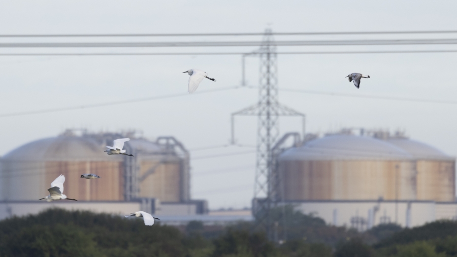 China Sells Excess US Liquefied Gas to Europe