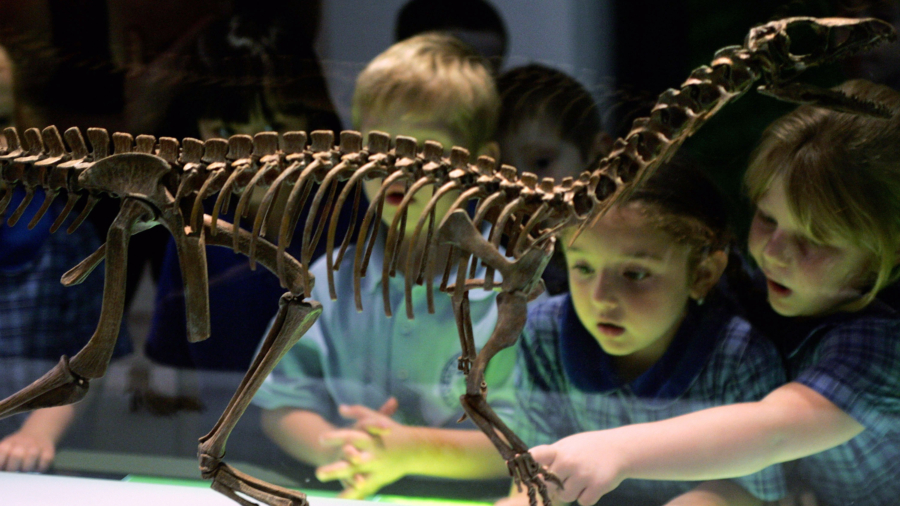 Australians Relish Dinosaur Fossil Hunting