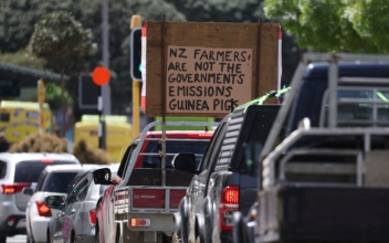 New Zealand Farmers Protest Plan to Tax Agricultural Emissions