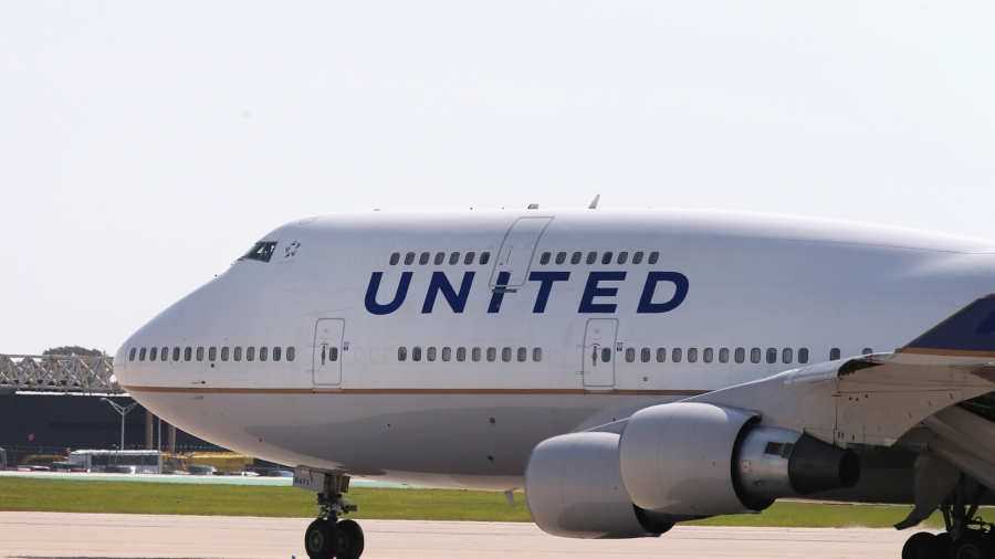 United Airlines Flight Returns to Chicago After Bird Strike