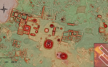 Ancient Maya City in Mexico May Rank as Most Crowded, New Data Shows