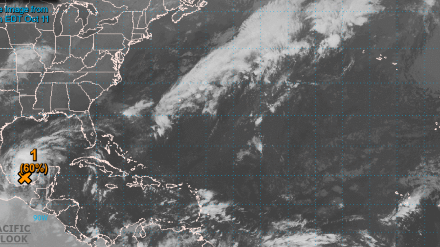 US NHC Sees 60 Percent Chance of Storm in Gulf of Mexico NTD