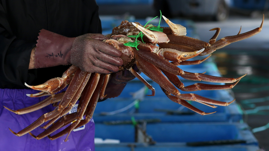 Alaskan Snow Crab Fishery Closed as Canada, Russia Report Bumper Harvests