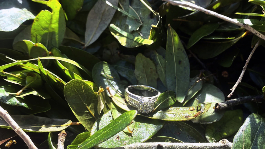 Lost Wedding Ring Found in Brush Pile After Hurricane Ian