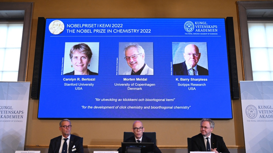Nobel Prize Awarded to Chemists Who Discovered Reactions That Snap Molecules Together Like Lego