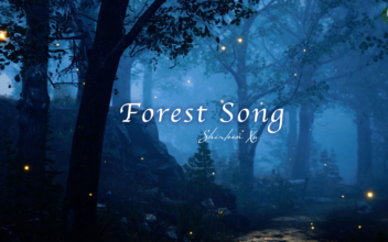 Adventures Through the Mysterious Forest | Musical Moments
