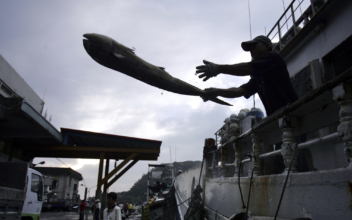 Report: Over 100,000 Fishing-Related Deaths Occur Annually