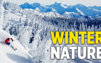 Winter Nature Scenes | Simple Happiness Episode 5