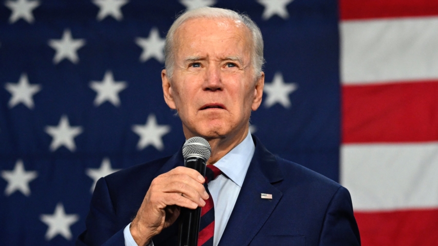Biden Says Democrats Could ‘Pick up a Seat’ in Senate, ‘Have a Chance’ at House