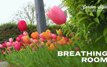 Breathing Room | P. Allen Smith Garden Style