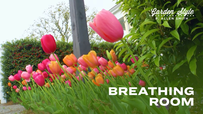 Breathing Room | P. Allen Smith Garden Style