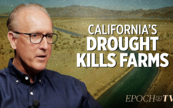 How California’s Outdated Water Infrastructure Lets Farmland Go Barren | Don and Steve Jackson