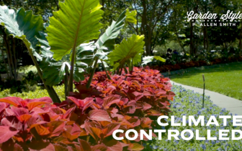 Climate Controlled | P. Allen Smith Garden Style