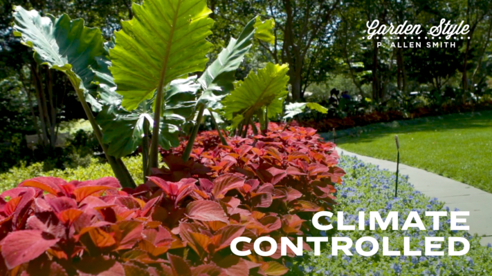 Climate Controlled | P. Allen Smith Garden Style