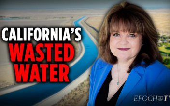 Is California’s Water Crisis Man-Made? | Darcy Burke