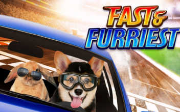 Fast and Furriest
