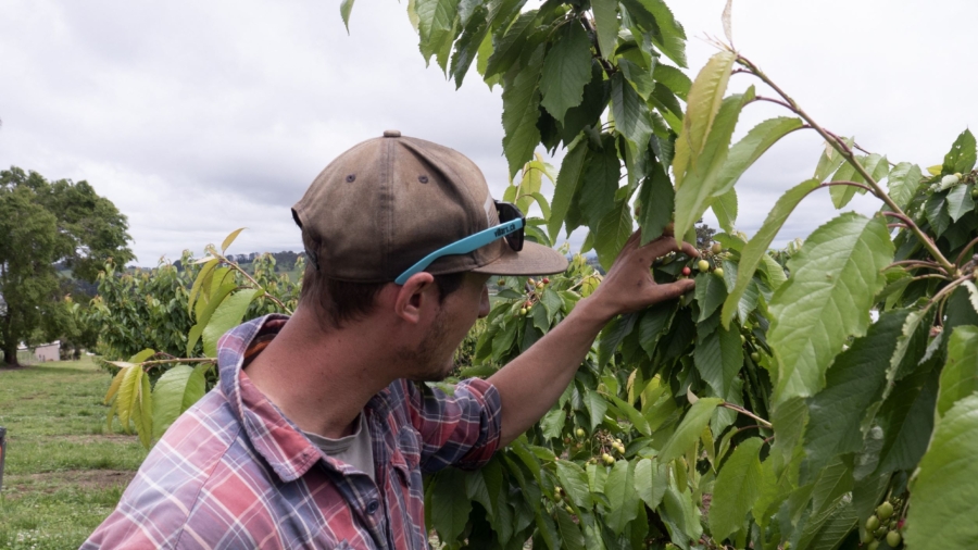 Australian Students Learn Agricultural Skills