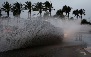 Nicole Makes Landfall as Hurricane, Pounding Florida With Dangerous Storm Surge, Heavy Rain