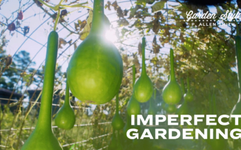 Imperfect Gardening | P. Allen Smith Garden Style