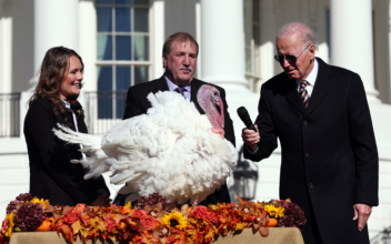 Biden Pardons National Thanksgiving Turkey