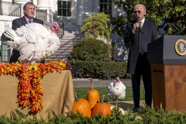 President Joe Biden, accompanied by Ronald Parker, Chairman of the National Turkey Federation, (L), speaks next to Chocolate, the national Thanksgiving turkey, (L), during a pardoning ceremony at the White House on Nov. 21, 2022. (Andrew Harnik/AP Photo)