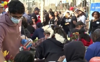 Free Thanksgiving Meal Served in Los Angeles