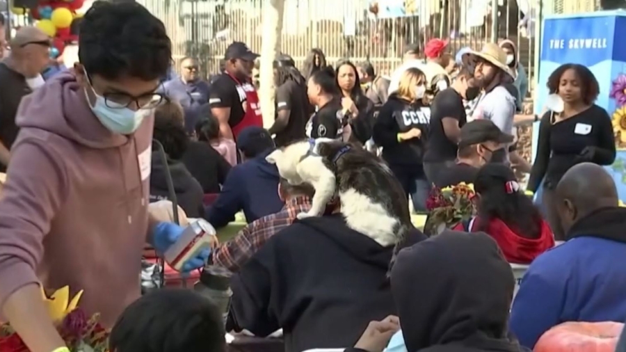 Free Thanksgiving Meal Served in Los Angeles