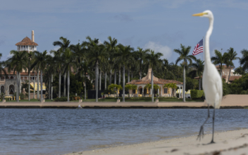 FBI Raids Trump’s Mar-a-Lago Home; New Virus Detected in China Transmitted From Animals to Humans | NTD Good Morning