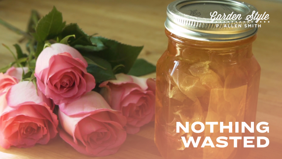 Nothing Wasted | P. Allen Smith Garden Style