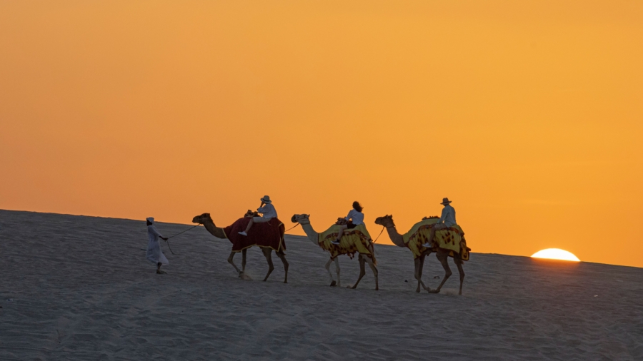 World Cup Tourists Put Strain on Qatar's Camels