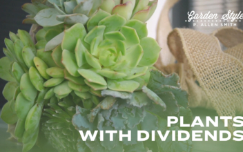 Plants with Dividends | P. Allen Smith Garden Style