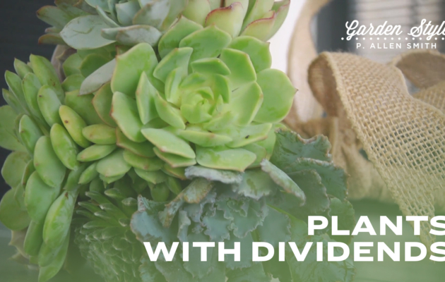 Plants with Dividends | P. Allen Smith Garden Style