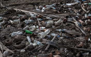 Single Use Plastic Waste Threatens Maldives