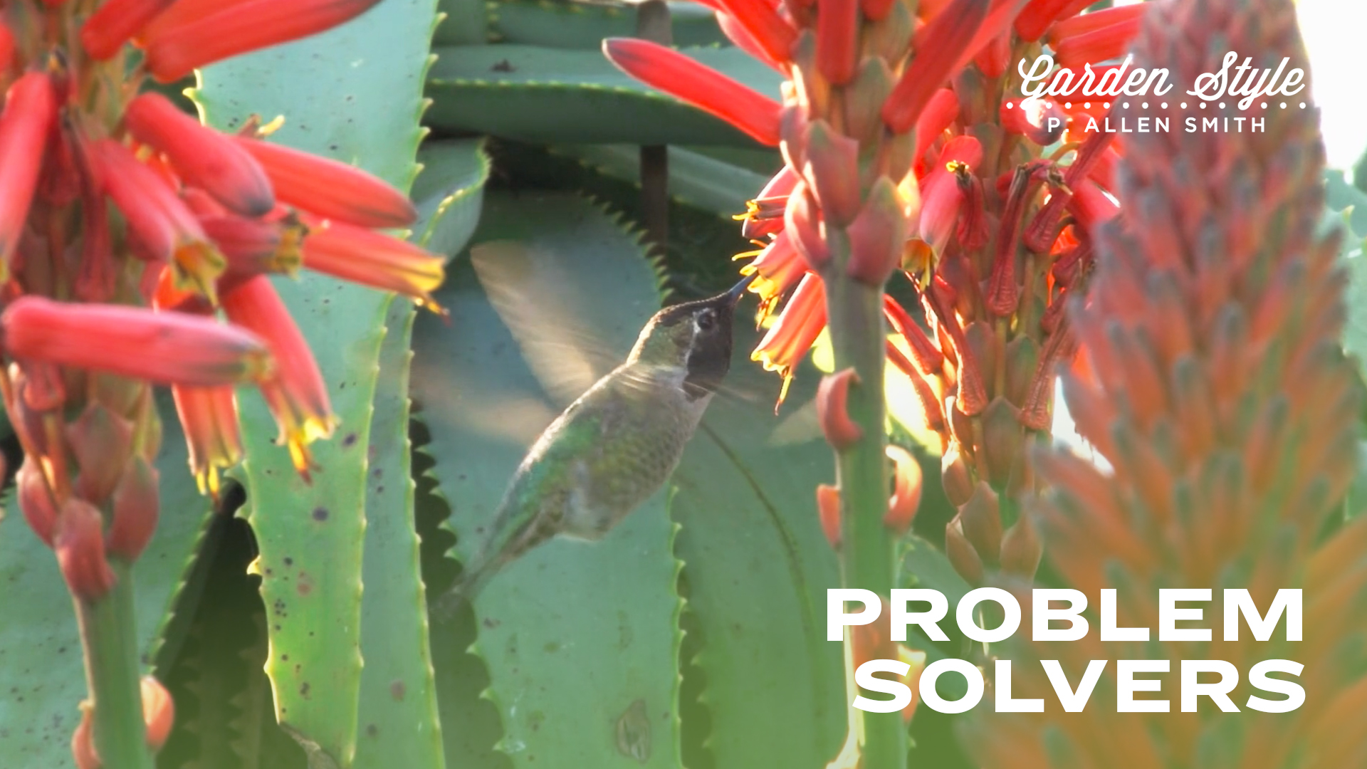 Problem Solvers | P. Allen Smith Garden Style