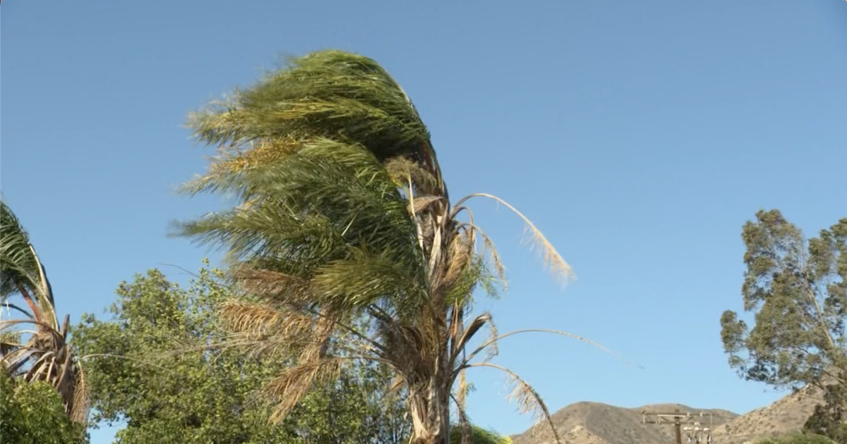 Powerful Santa Ana Winds Lash Southern California | NTD