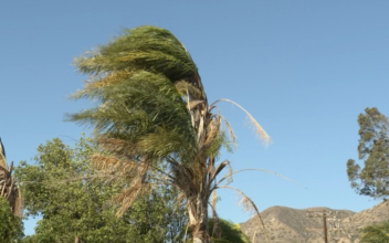Powerful Santa Ana Winds Lash Southern California