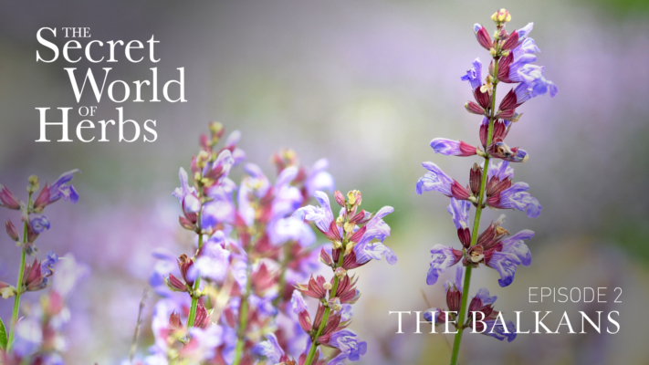 The Secret World of Herbs: In the Balkans (Episode 2)