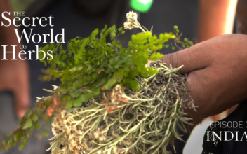 The Secret World of Herbs: In India (Episode 3)